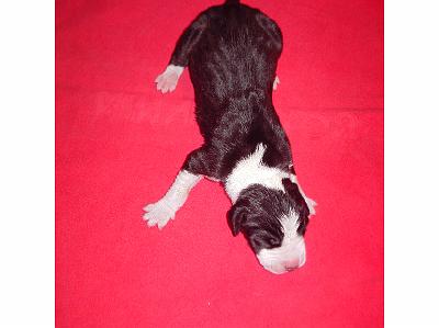PICT0024.JPG