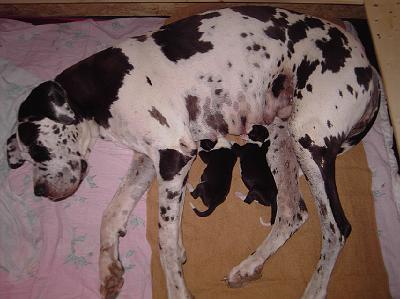 PICT0065.JPG