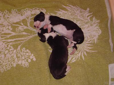 PICT0071.JPG