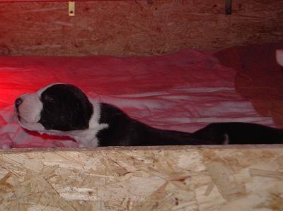 PICT0083.JPG