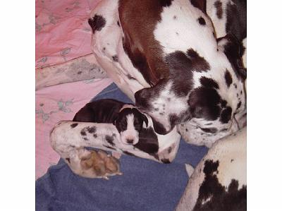 PICT0102.JPG