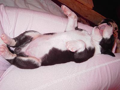 PICT0118.JPG