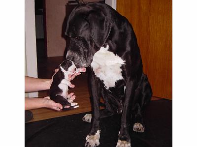 PICT0167.JPG