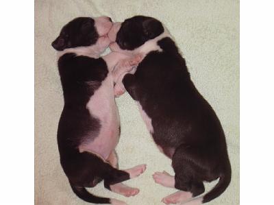 PICT0174.JPG