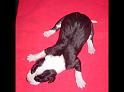 PICT0015