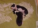 PICT0071