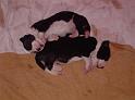 PICT0079