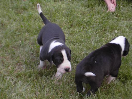 PICT0457.JPG