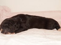 DSC02740